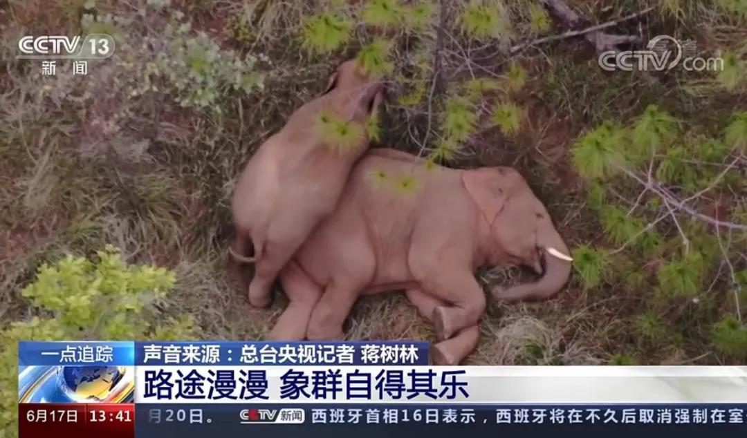 易游(中国)yiyou
